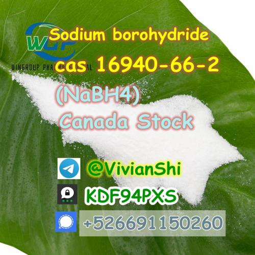 99% Purity Sodium borohydride CAS 16940-66-2 With Best Price