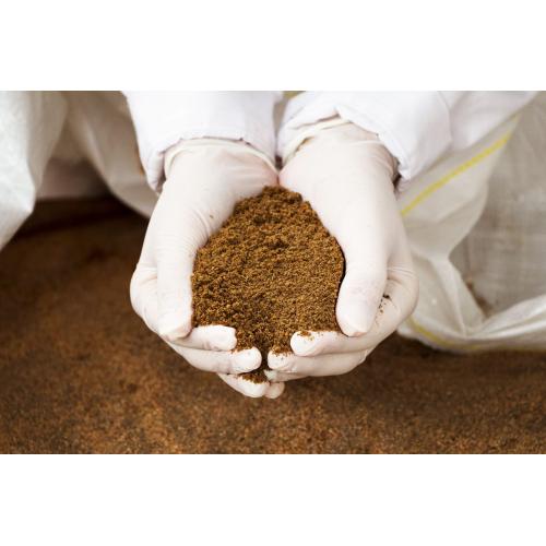 Wholesale Broiler Chicken Feed, Buy Animal Feed Grains Wholesale